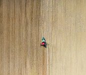 Sowing winter wheat