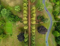 The winding road 2