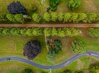The winding road