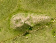 Selsley common long barrow