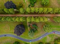 The winding road