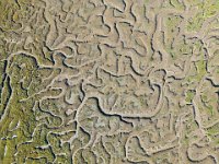 Thornham drone 5