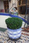 Barcelona-Gaudi-Casa-Batllo-patio-and-flower-pot