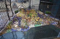 Barcelona-Gaudi-Casa-Batllo-patio-and-rear-facade-4