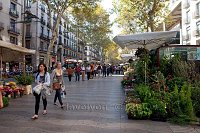 Barcelona-La-Rambla-flower-sellers-Old-town