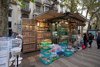 Barcelona-La-Rambla-pet-stall-2