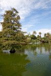 Barcelona-lake-in-the-Parc-de-la-Ciutadella-Old-town