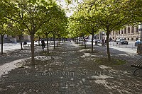 Berlin-Gendarmenmarkt-tree-covered-walk