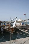 Fishing-dhows-2