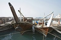 Fishing-dhows