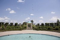 Hotel-with-vultures