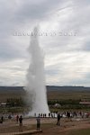 Iceland-Geyser-at-full-height