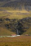 Iceland-farmstead-with-baled-hay