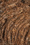 Iceland-solidified-lava-2