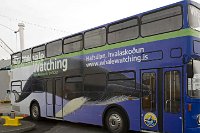 Iceland whale watching bus
