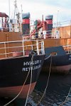 Iceland Reykjavik whaling fleet