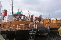 Iceland Reykjavik whaling fleet