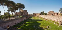 Rome the stadium in the Palatine Pana