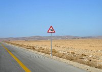 Beware-Camel