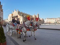 Krakow Tourist horse carriage 2