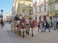 Krakow Tourist horse carriage 3