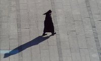 Krakow nuns shadow