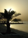 Kuwait-beach