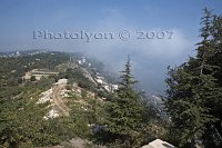 Lebenese-cedars-Annaya-in-the-clouds