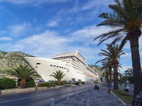 MSC Musica in Kotor Montenegro