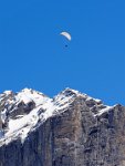 Grindlewald paragliding 1