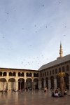 Syria-Damascus-the-courtyard-at-dusk-with-flocks-of-swifts-and-the-Jesus-minaret-in-the-Great-Umayyad-mosque