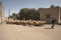 Syria-Ezraa