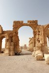 Syria-Palmyra-13