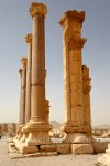 Syria-Palmyra-14