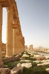 Syria-Palmyra-15