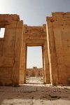 Syria-Palmyra-6