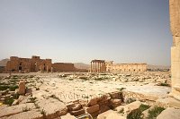 Syria-Palmyra-7