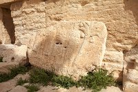 Syria-Palmyra-palm-tree-detail-on-carving