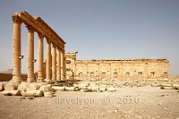 Syria-Palmyra