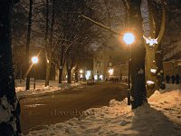Tallin-by-night