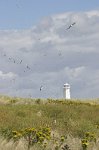Cumbria-Walney-island-light-2