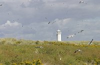 Cumbria-Walney-island-light