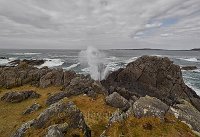 Doagh Isle