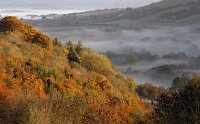 Dorset-autumn-mist