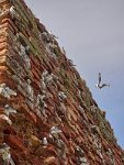 Dunbar 2