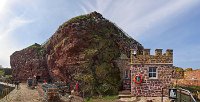 Dunbar harbour seabird colony