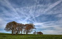 Halnaker sky