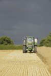 Harvest-before-the-storm