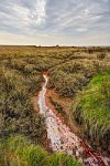Hoo-marshes 2