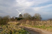 Jack-and-Jill-at-Clayton-nr-Brighton